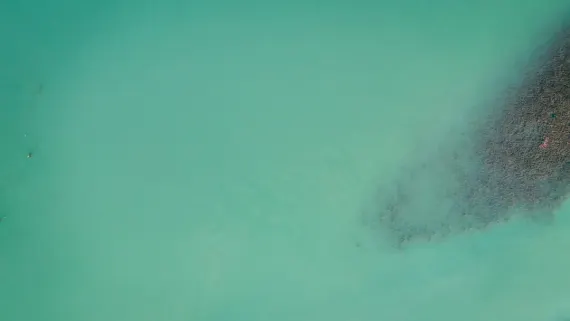 Kazino Lucky Luke Pagalba